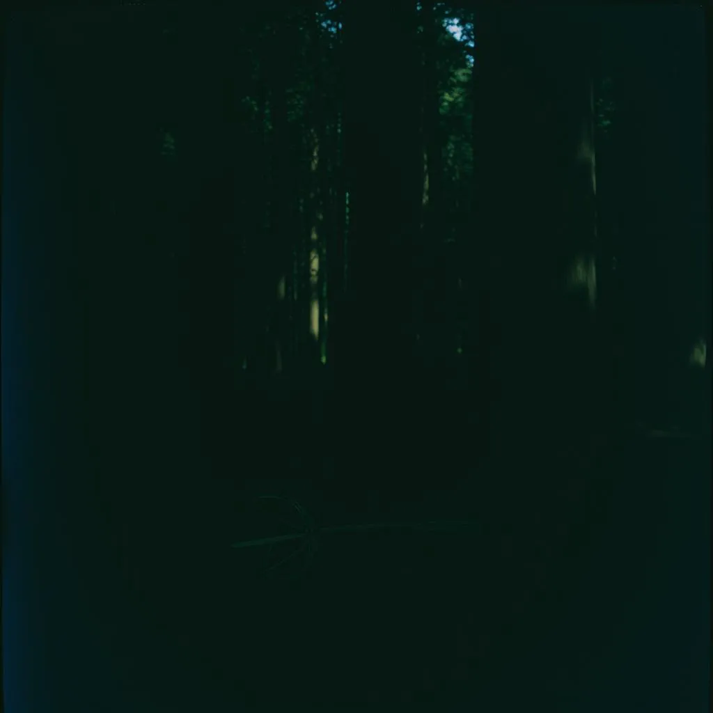 Left in the Shadows