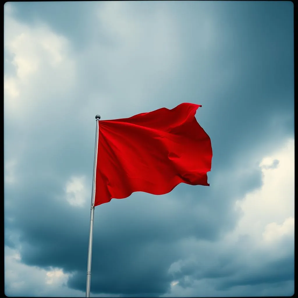 Raise Your Flag