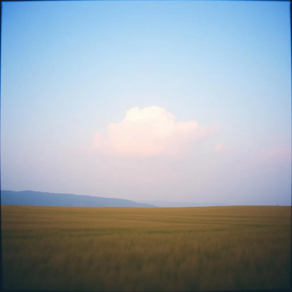 رجل في حضوره نور
