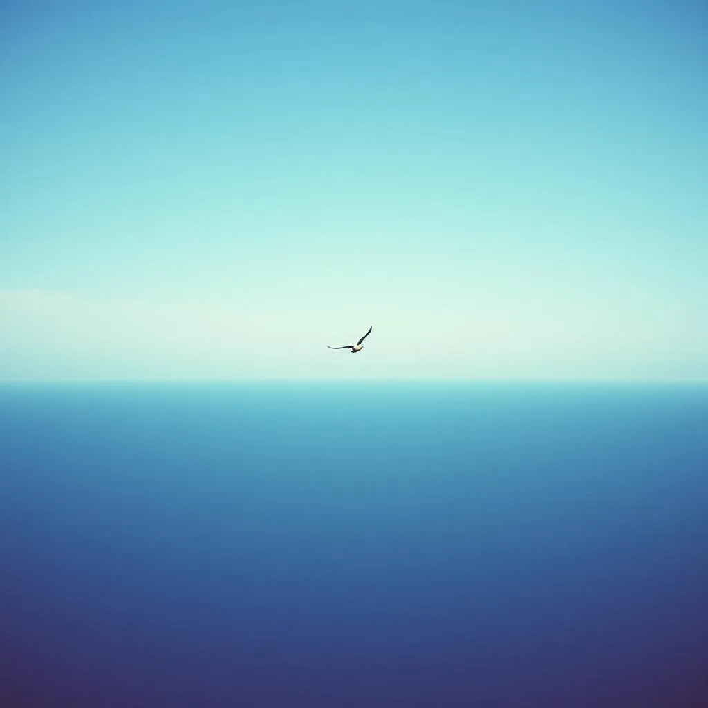 Empty Canvas