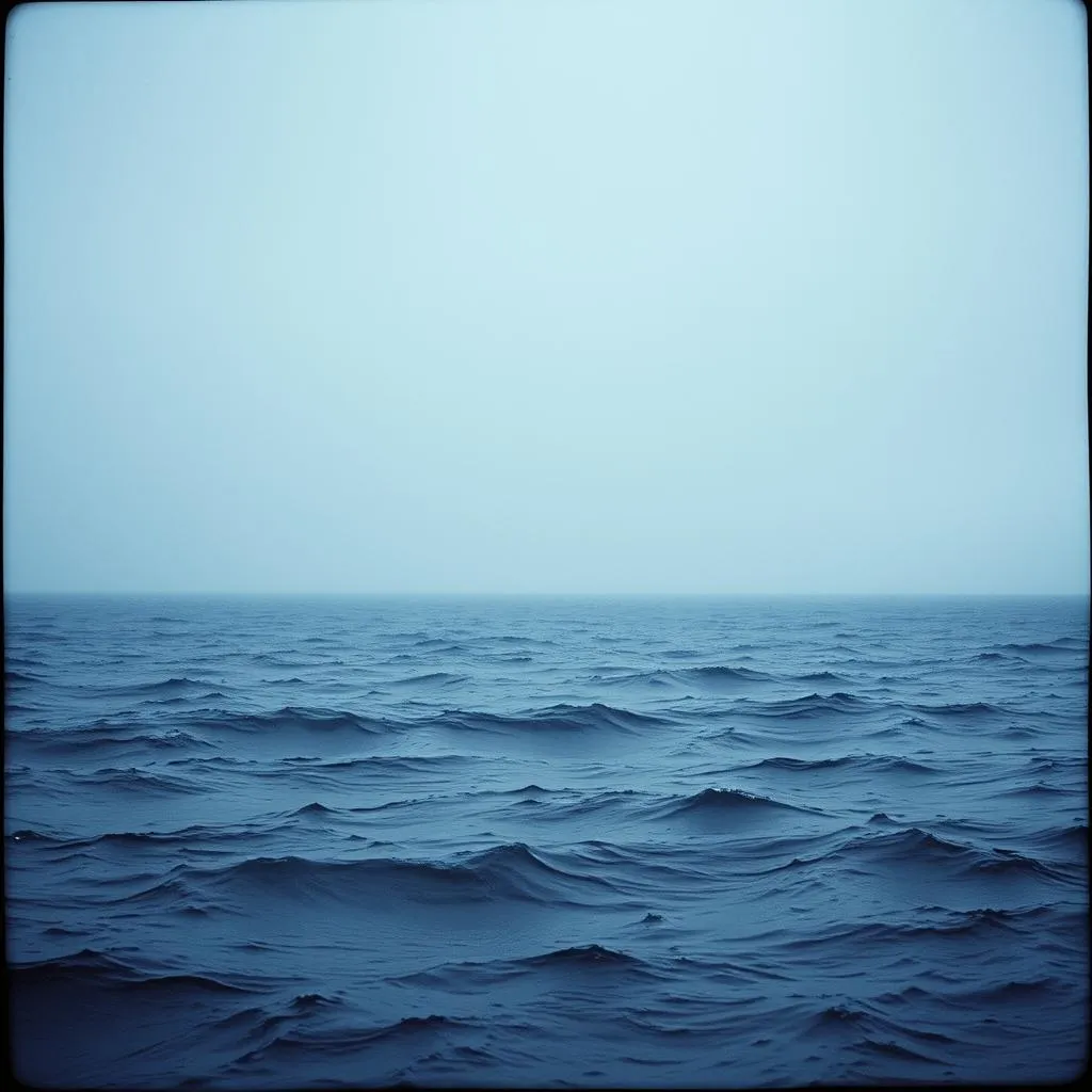 Kiss the Sea