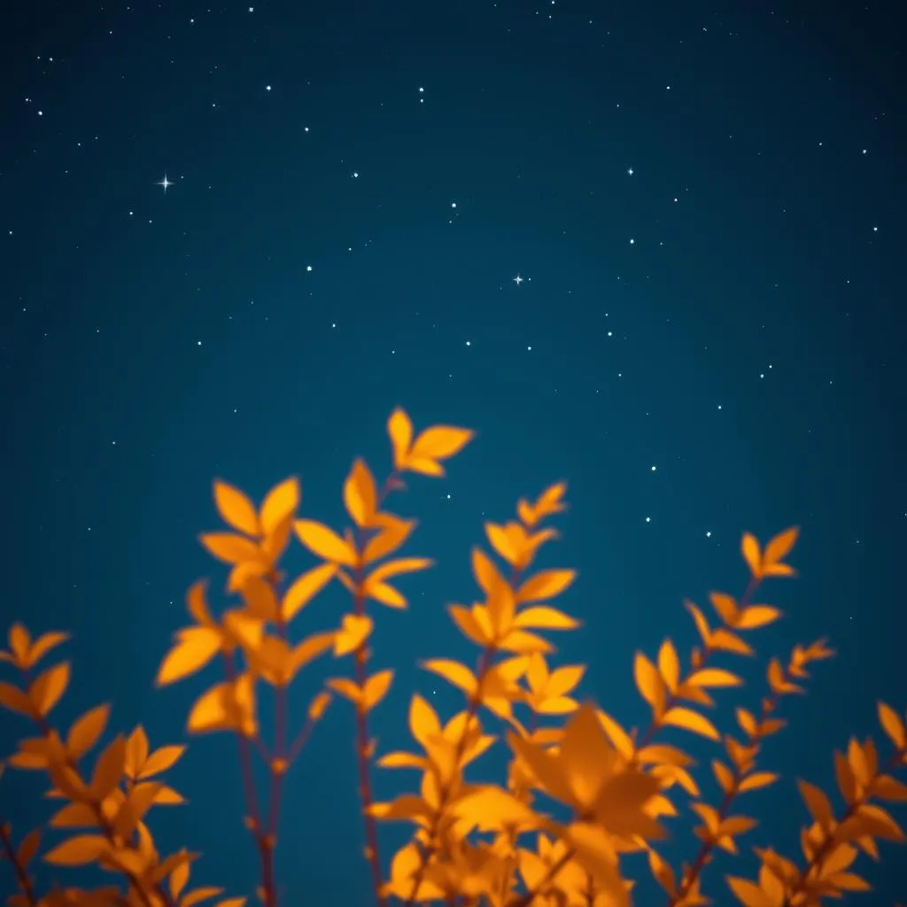Nuit d’Automne