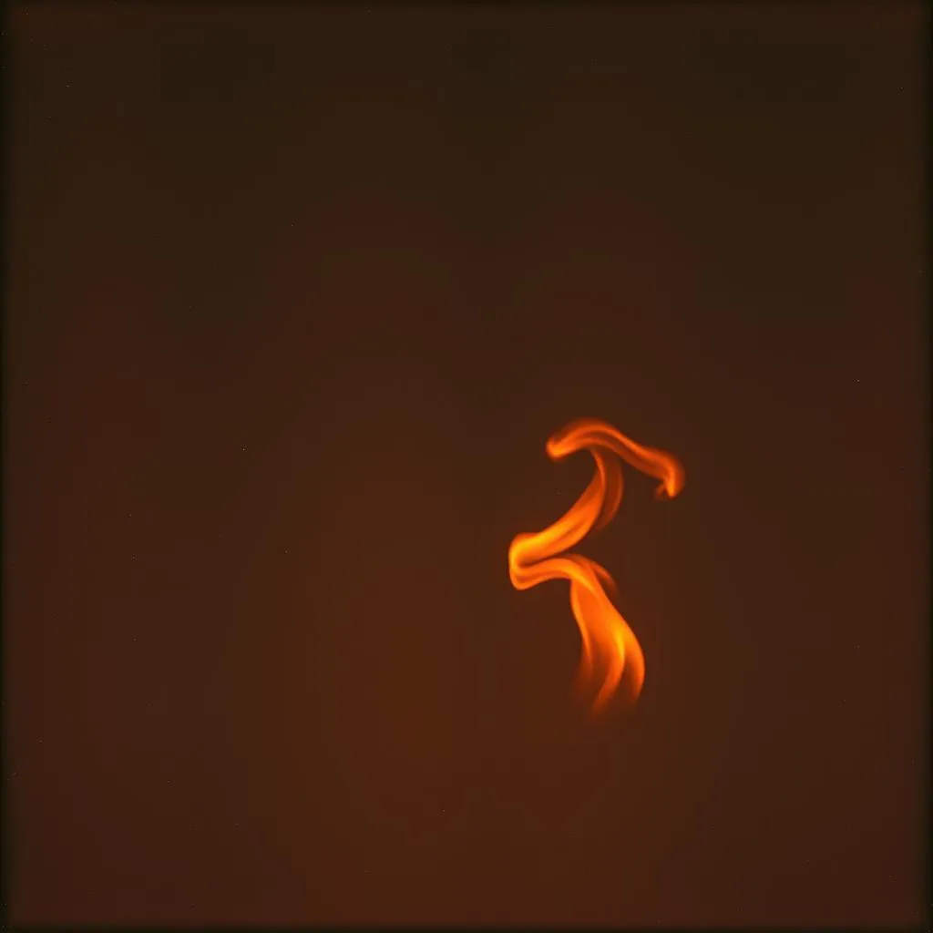 Wildfire 