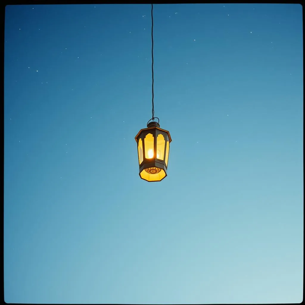A Brother's Light
