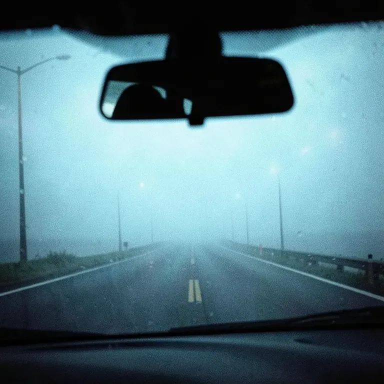 Wrong Way Home