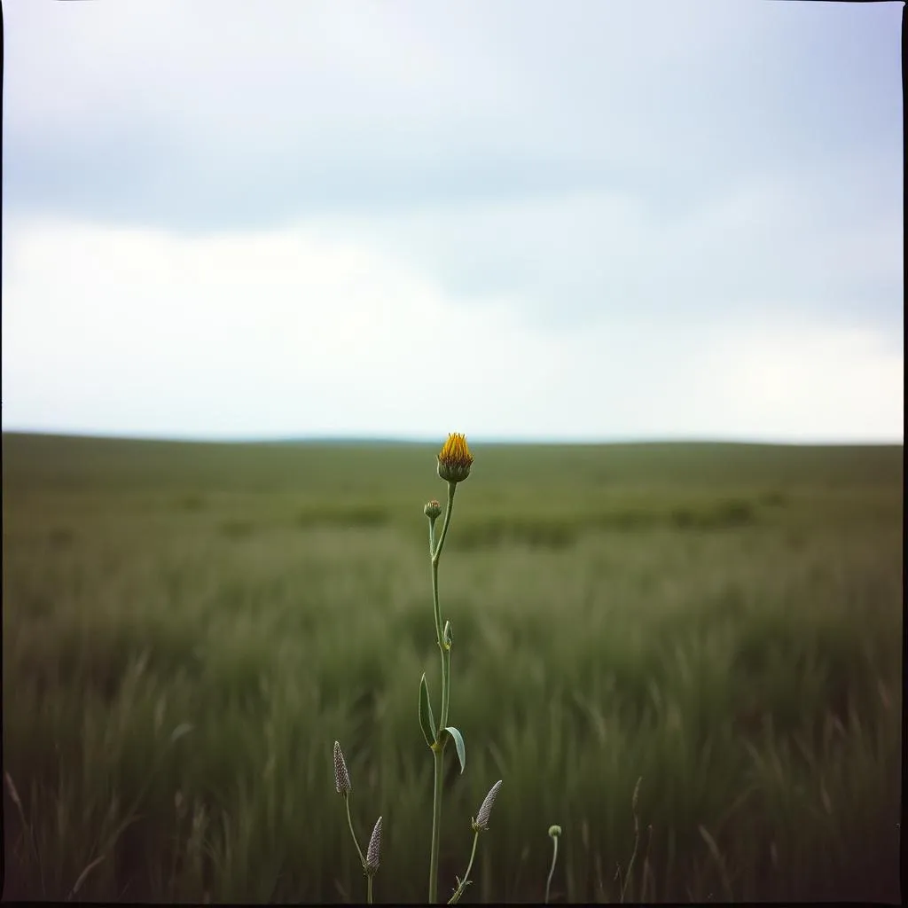 Storm Within