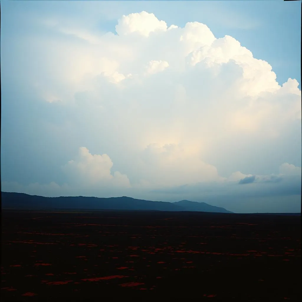 Let the Heavens Rain