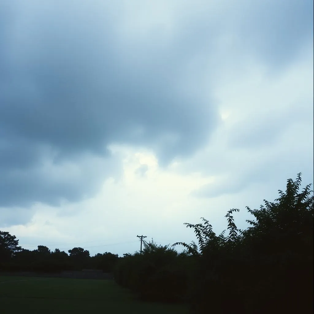 make the rain go away