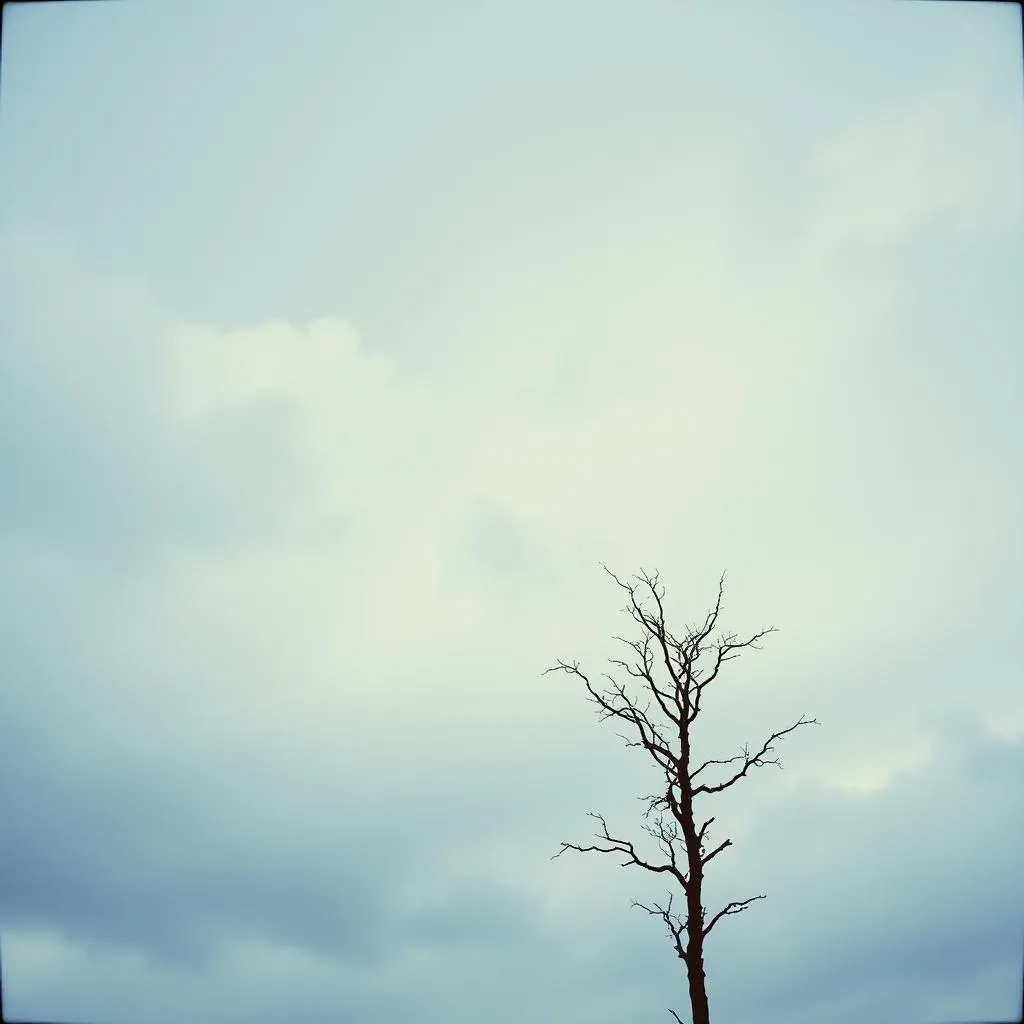 Dark Sky