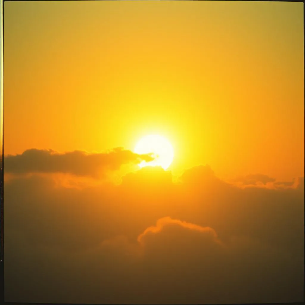 Trust the Light
