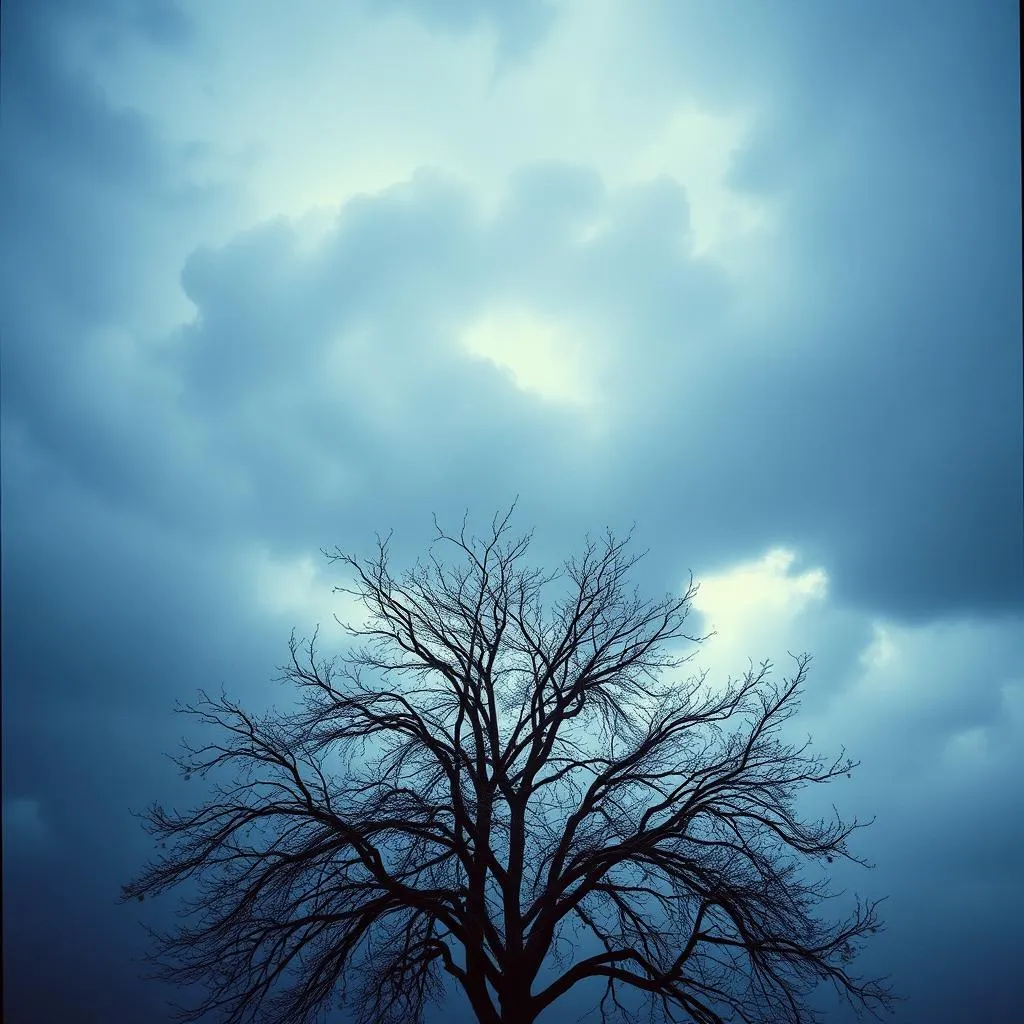 Beware of the Taker