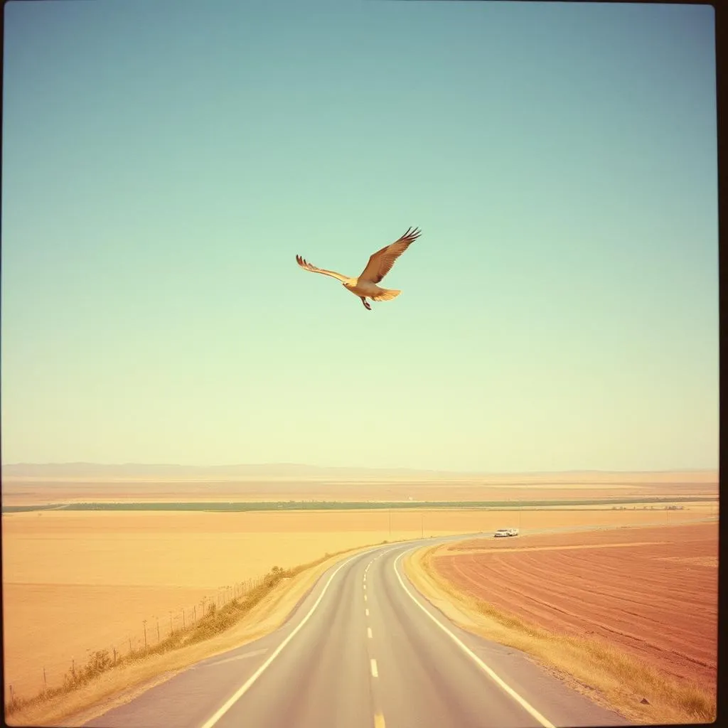 Breaking Free in Kansas