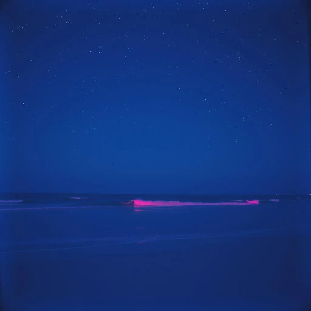 Au Bord de Mer (Disco Fever)*