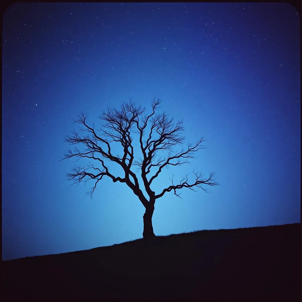 Who carries me to the night