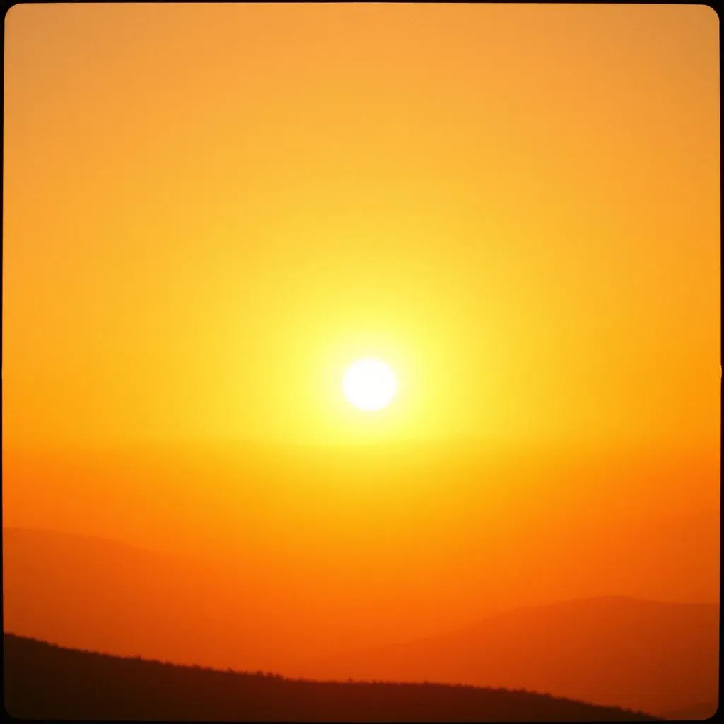 Sun's halo
