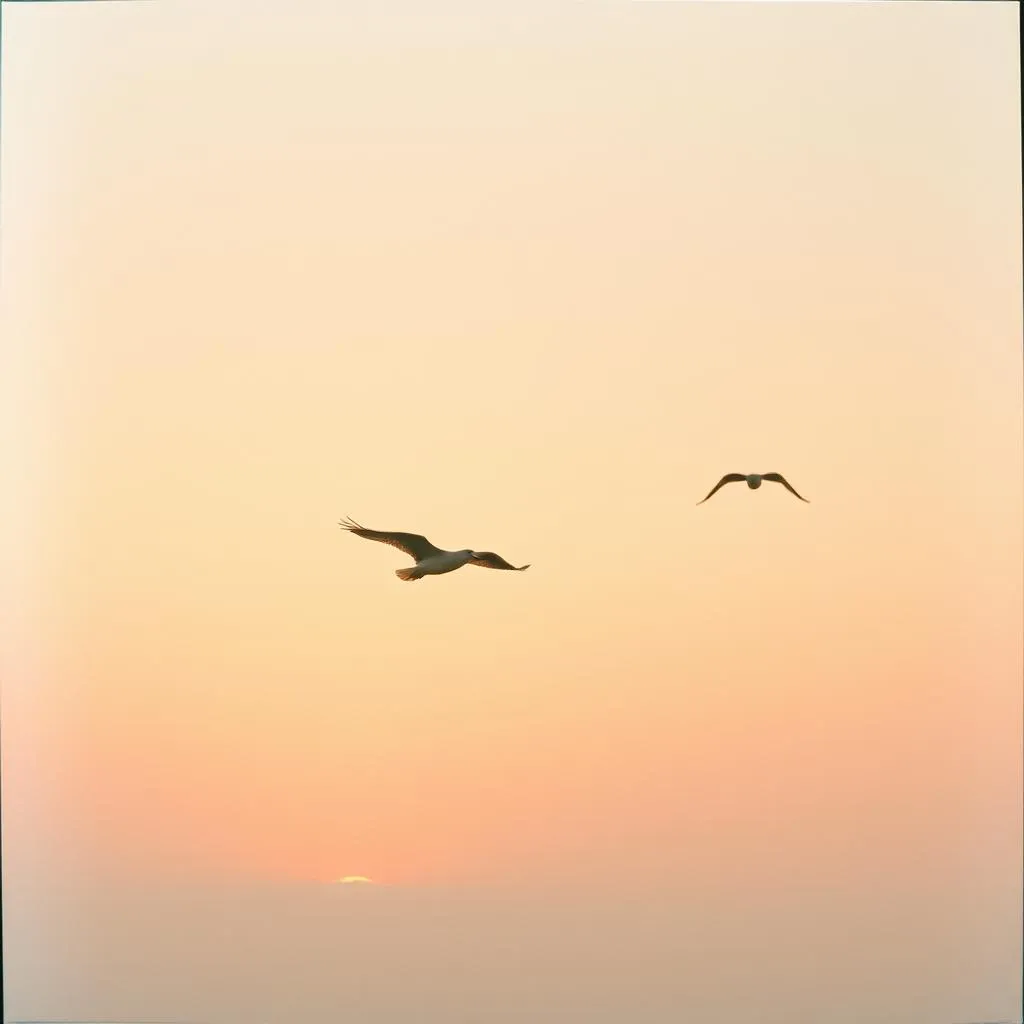 Dreams in the Morning