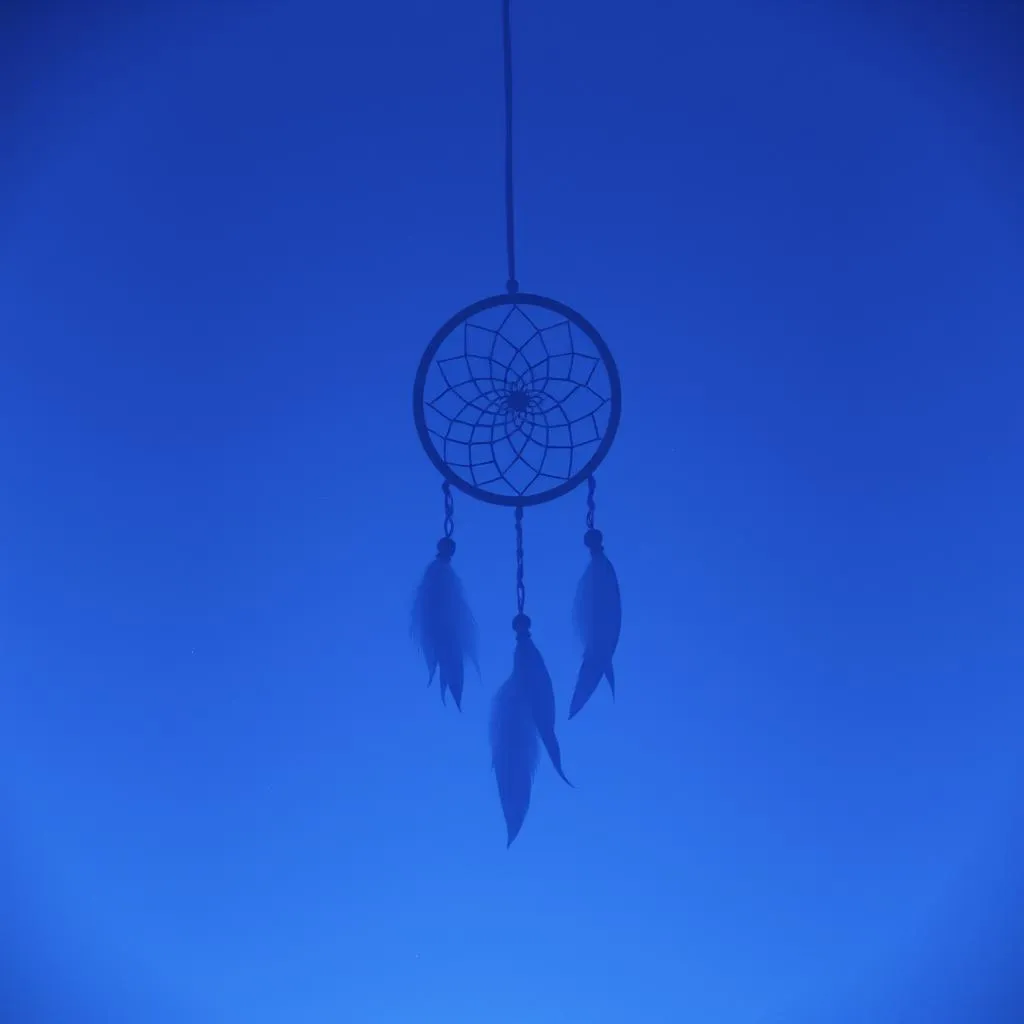 Chasing Shadows of a Dream
