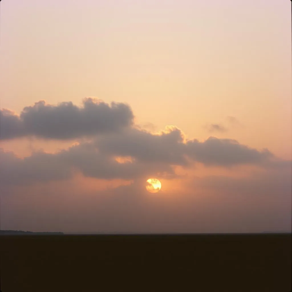 The second day