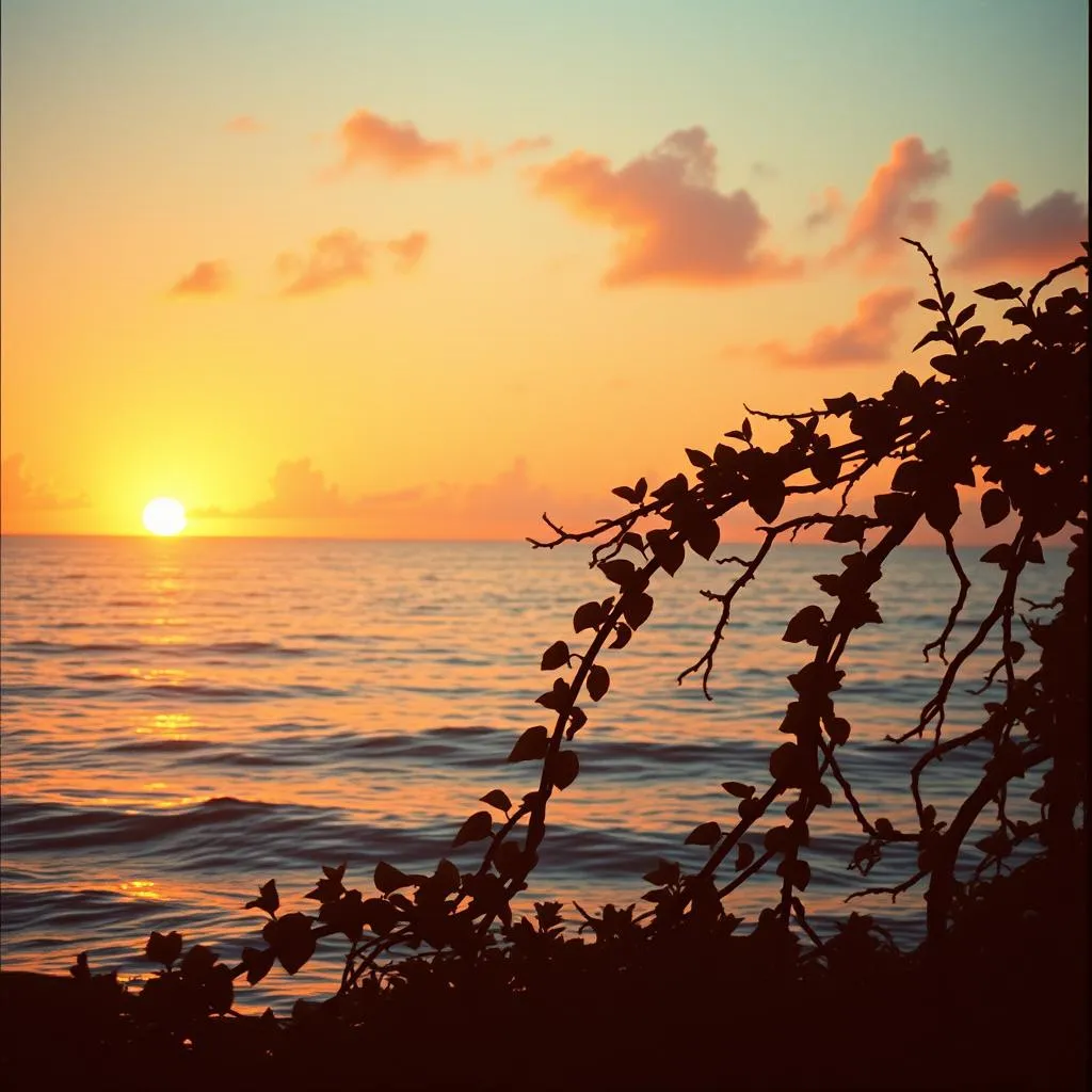 Perfect