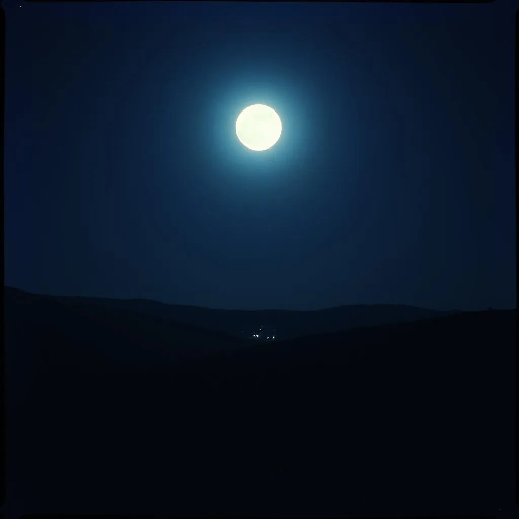 Shadows of the Night