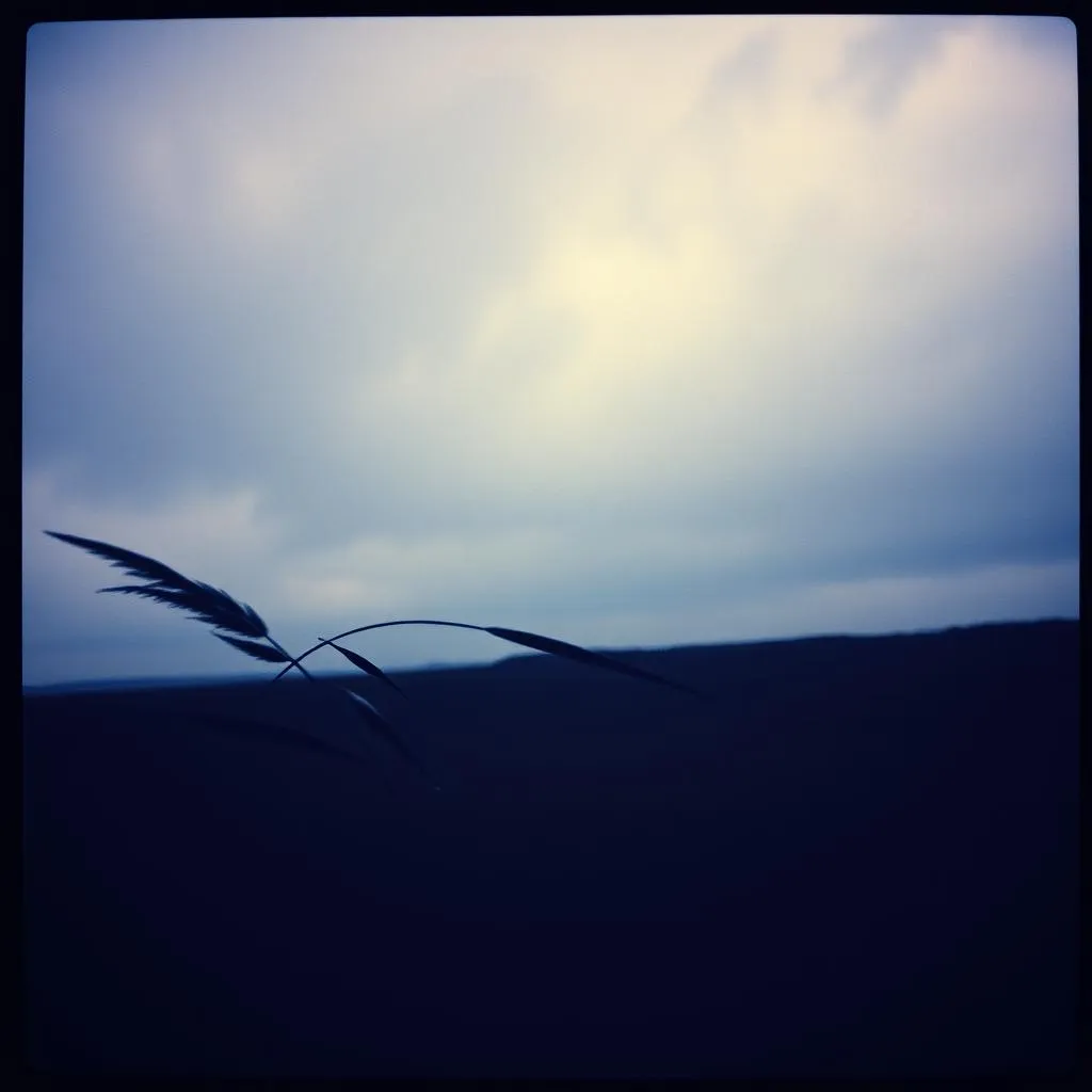 Blades and Shadows
