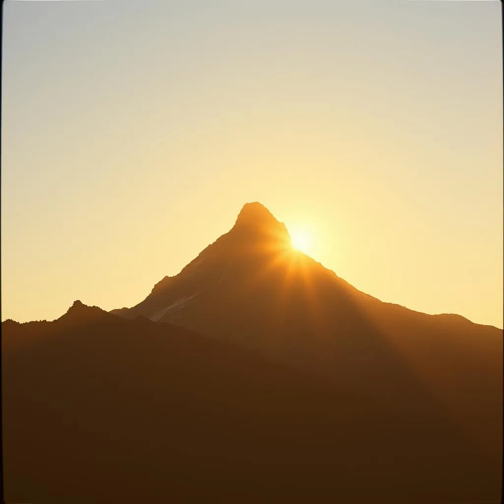 Rise and Shine