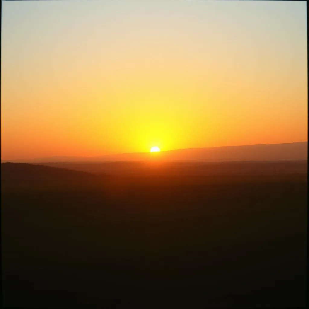 Rise Into the Light