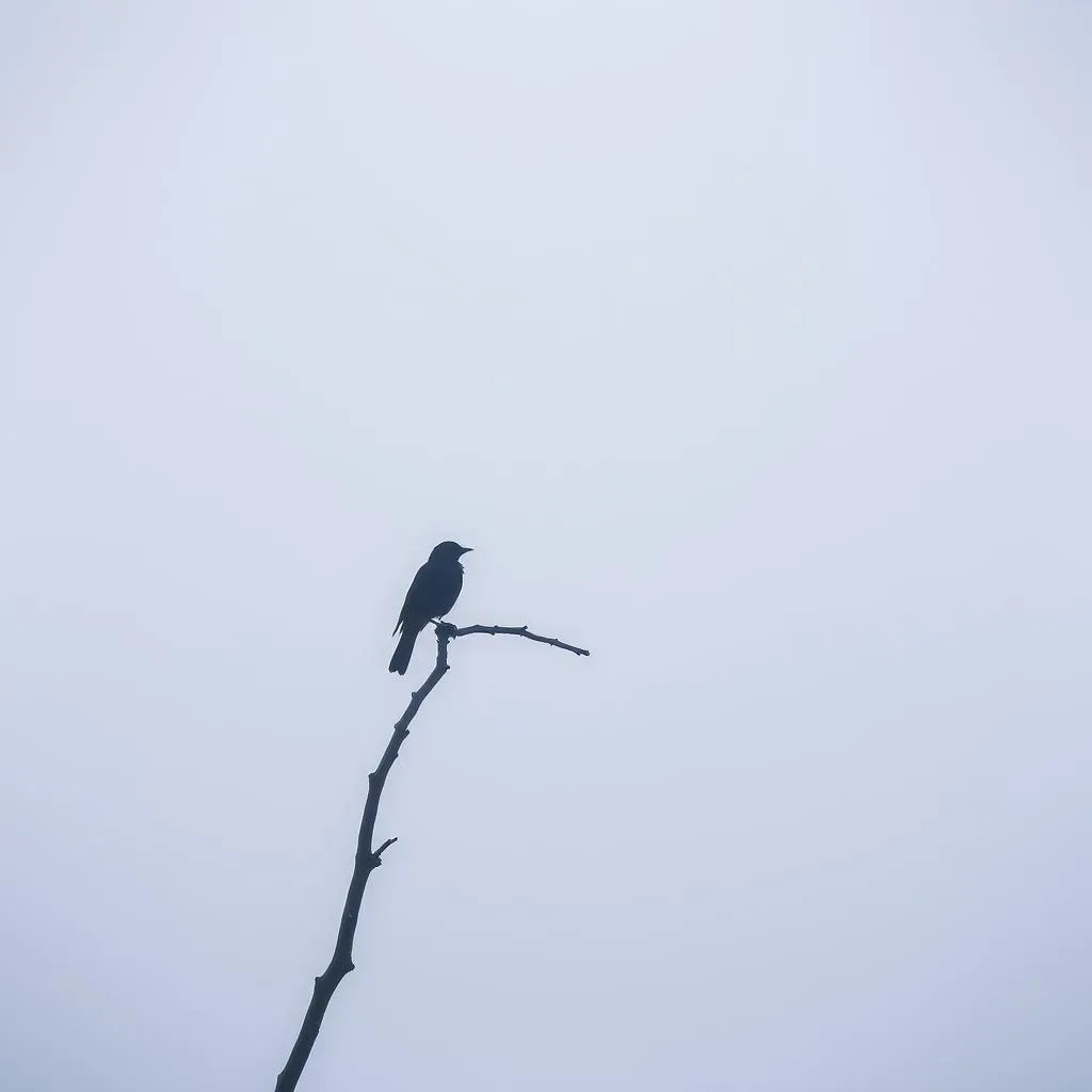 Nothing left