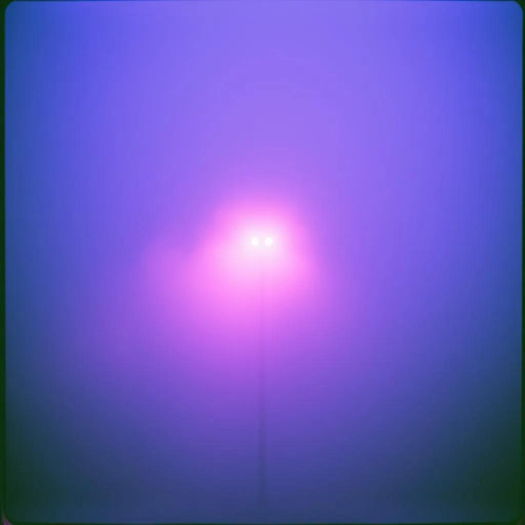 Purple Haze