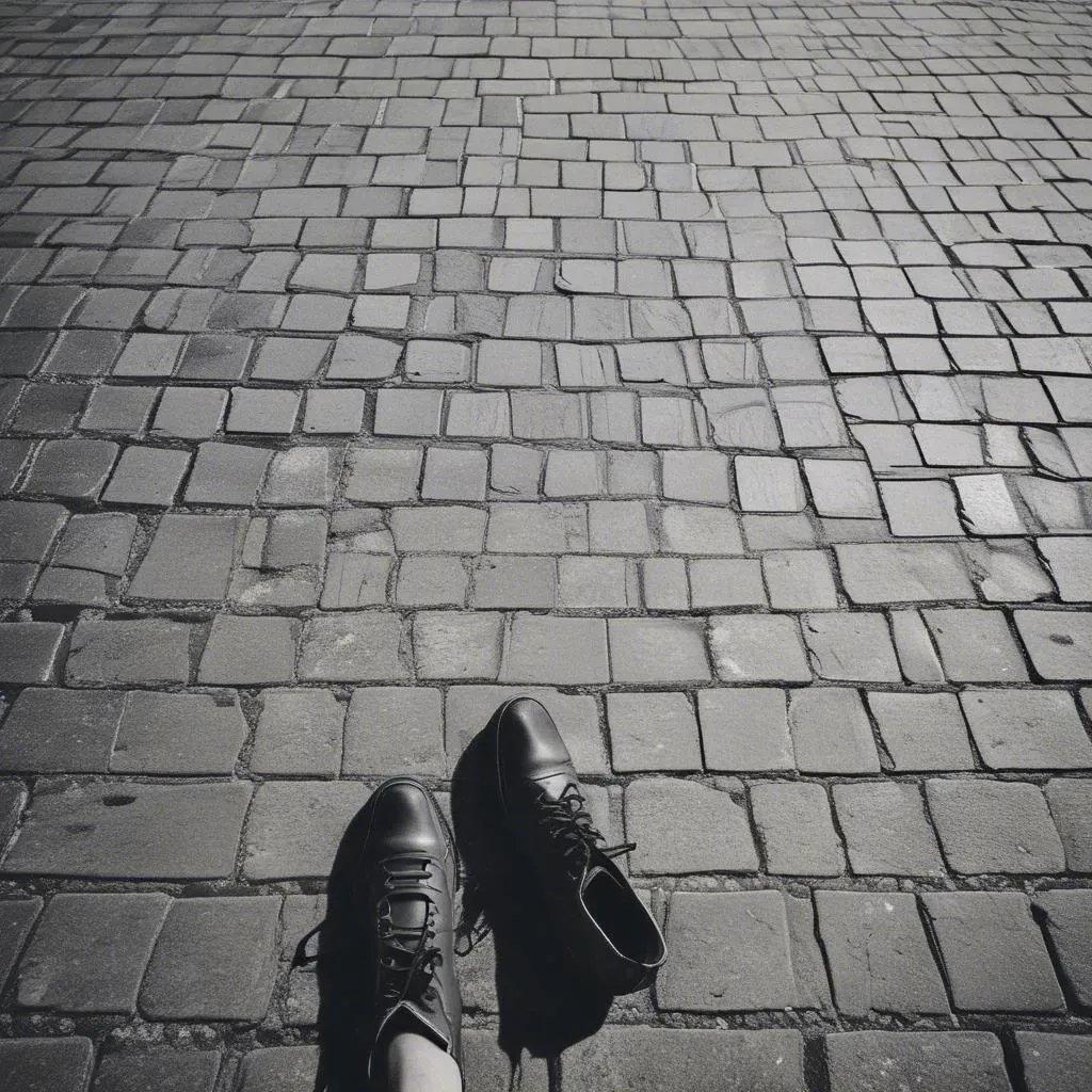 Walk In My Shoes