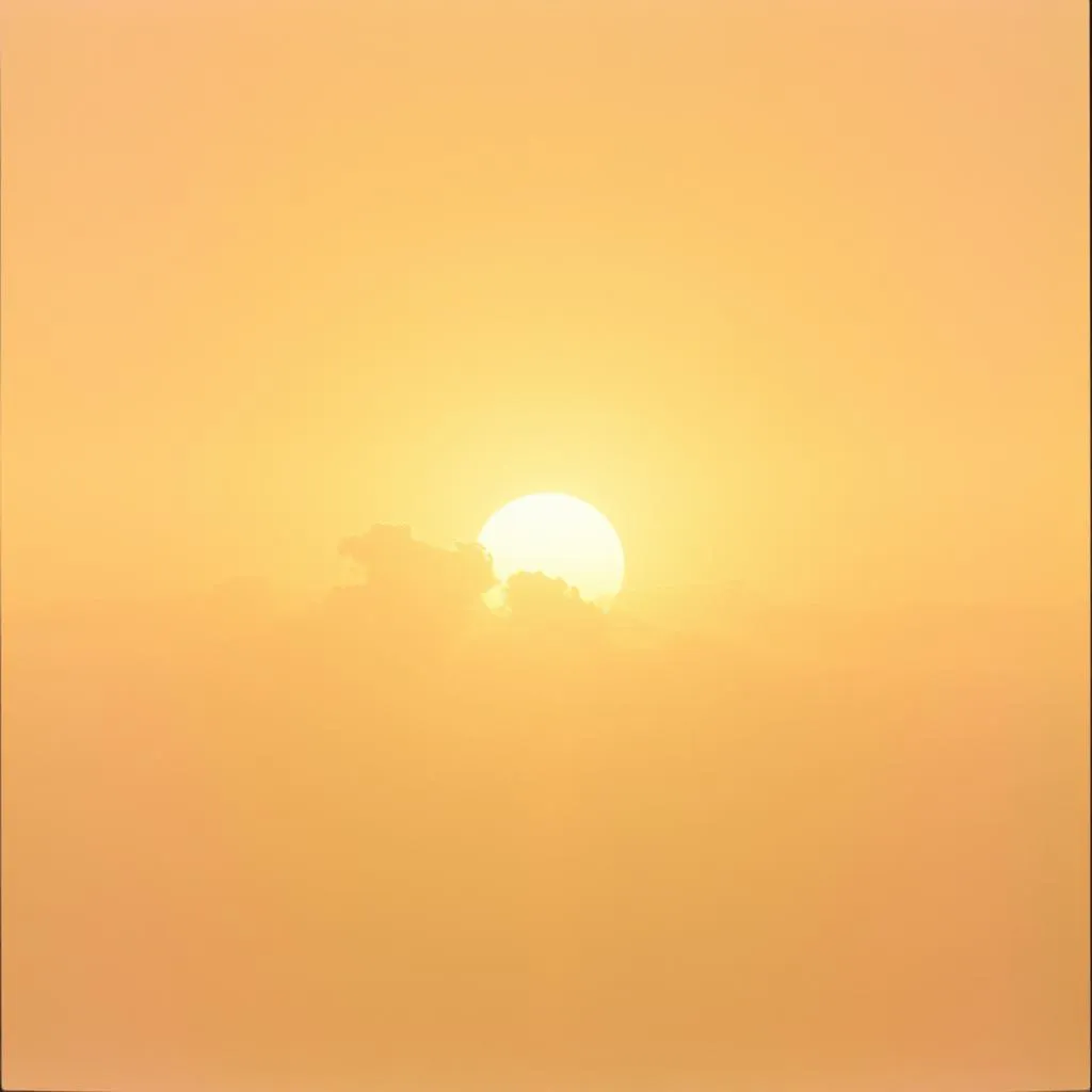 The Light