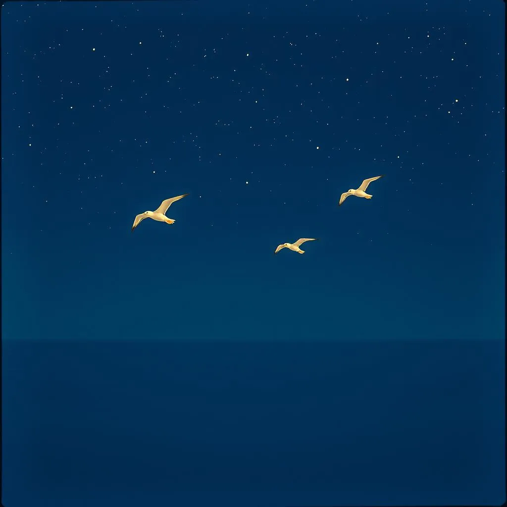 Starry Night Reprise