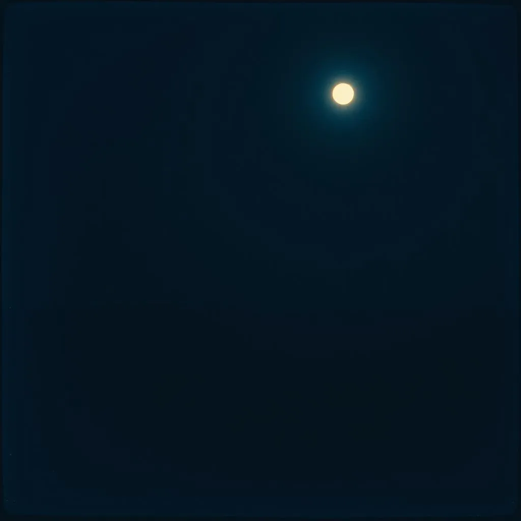 Whispers in the Night