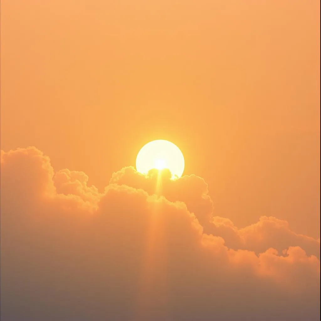 Weather