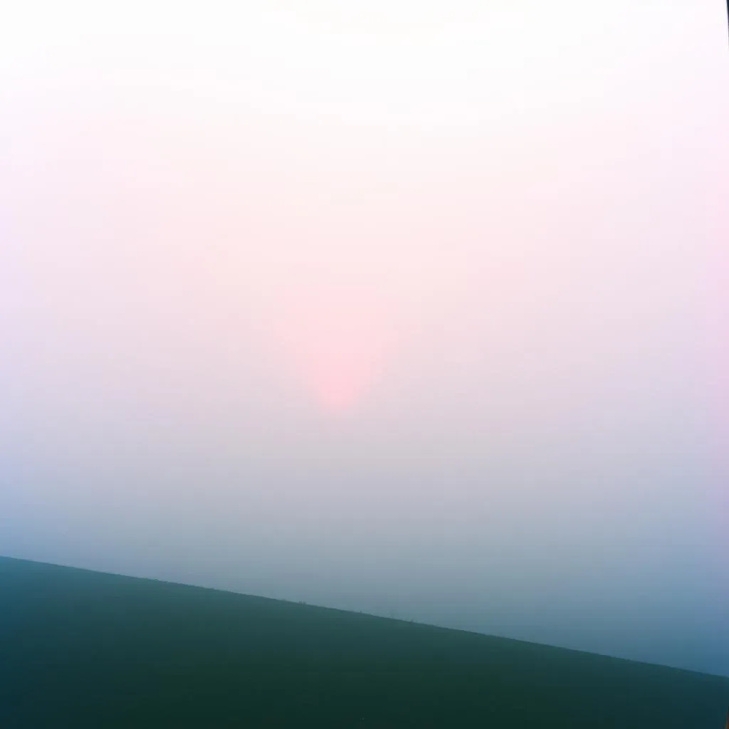 Forever in the Haze