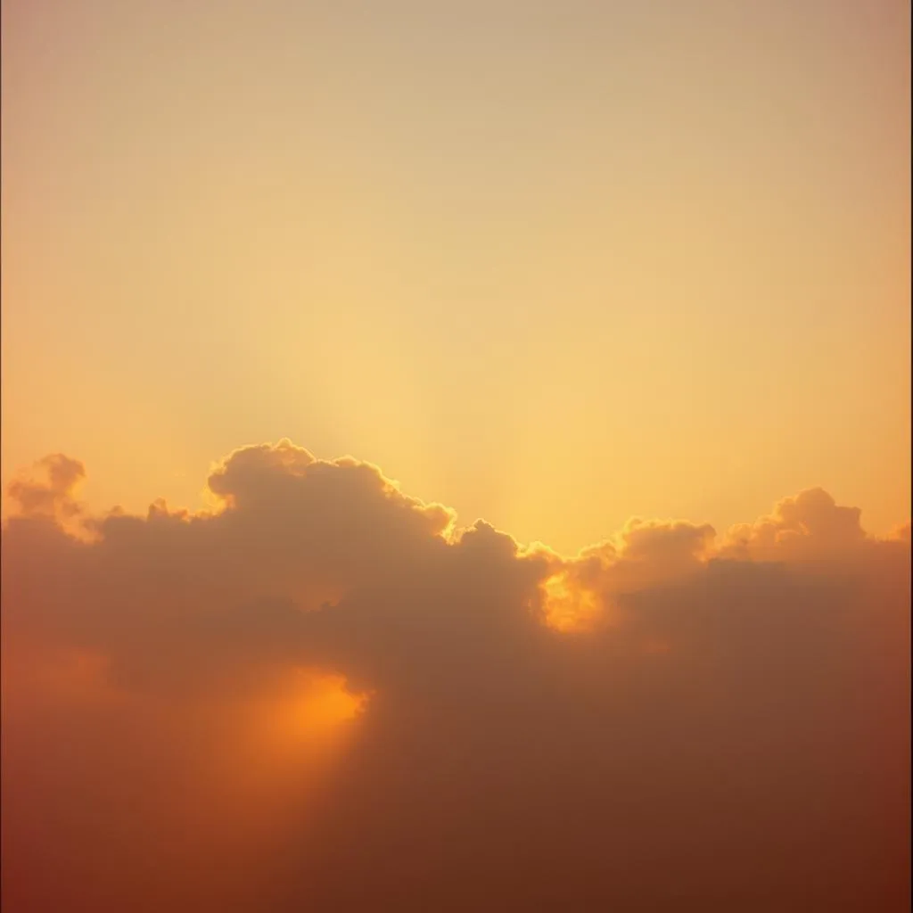 Joy on the Horizon