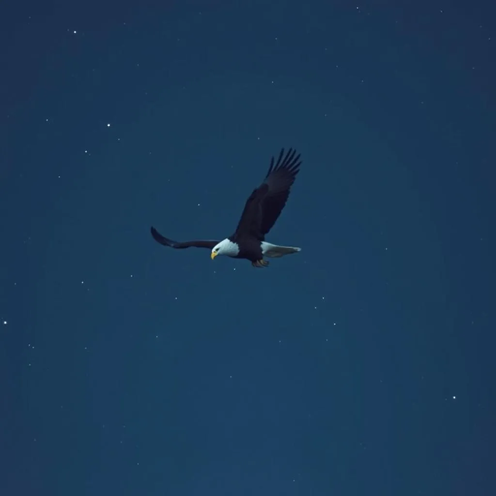 Back the Blue