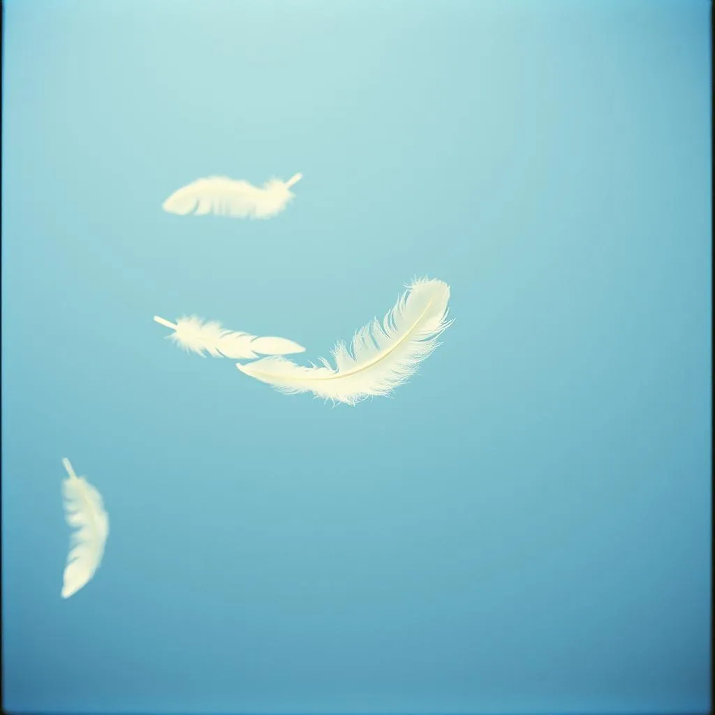 Floating in the All