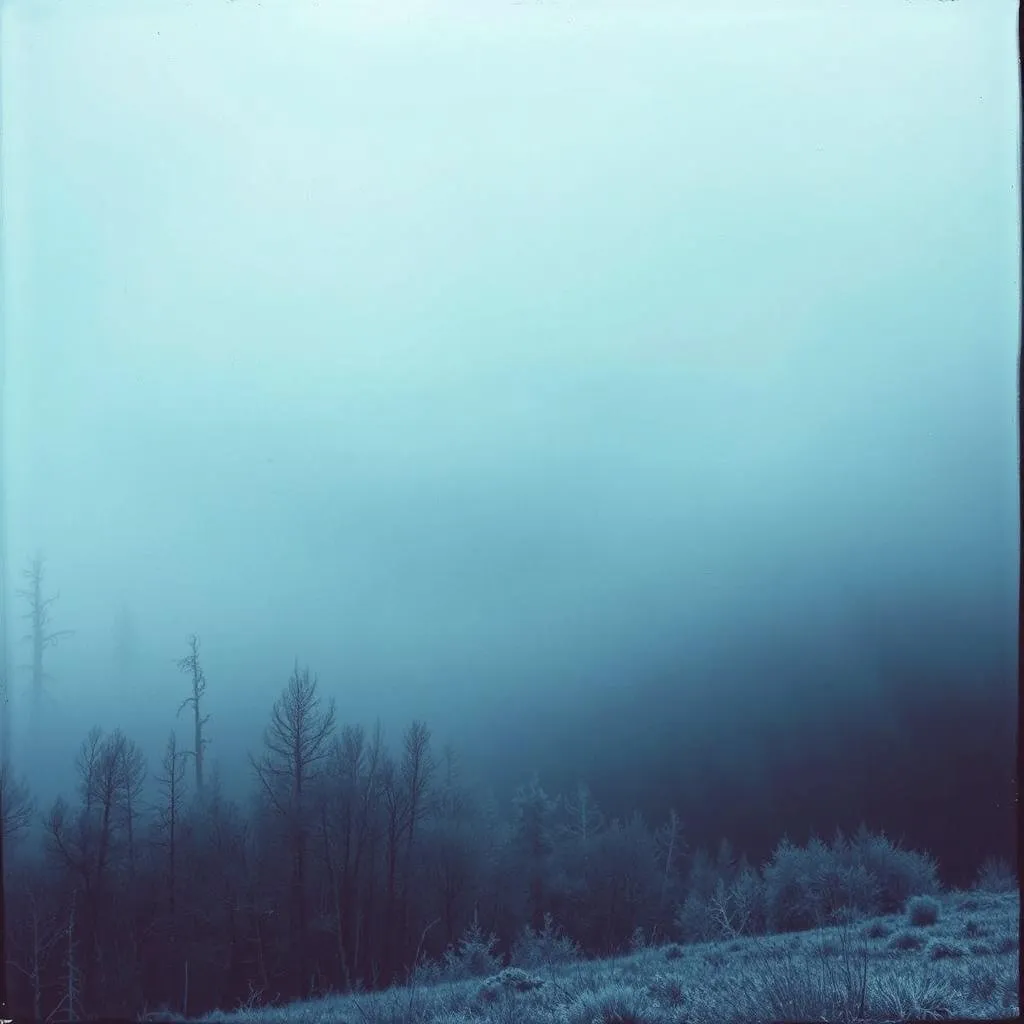 The Shrouded Veil