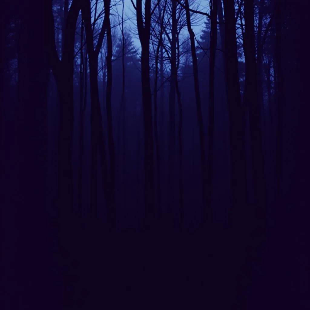 Heaven In The Hush