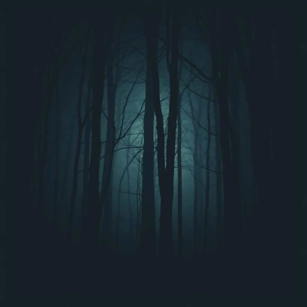 Echoes of My darkened Soul
