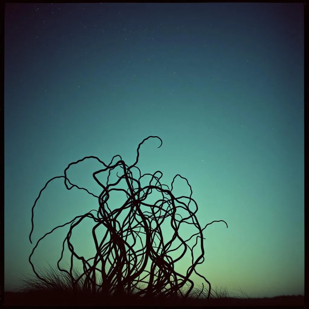 Echoes of Us