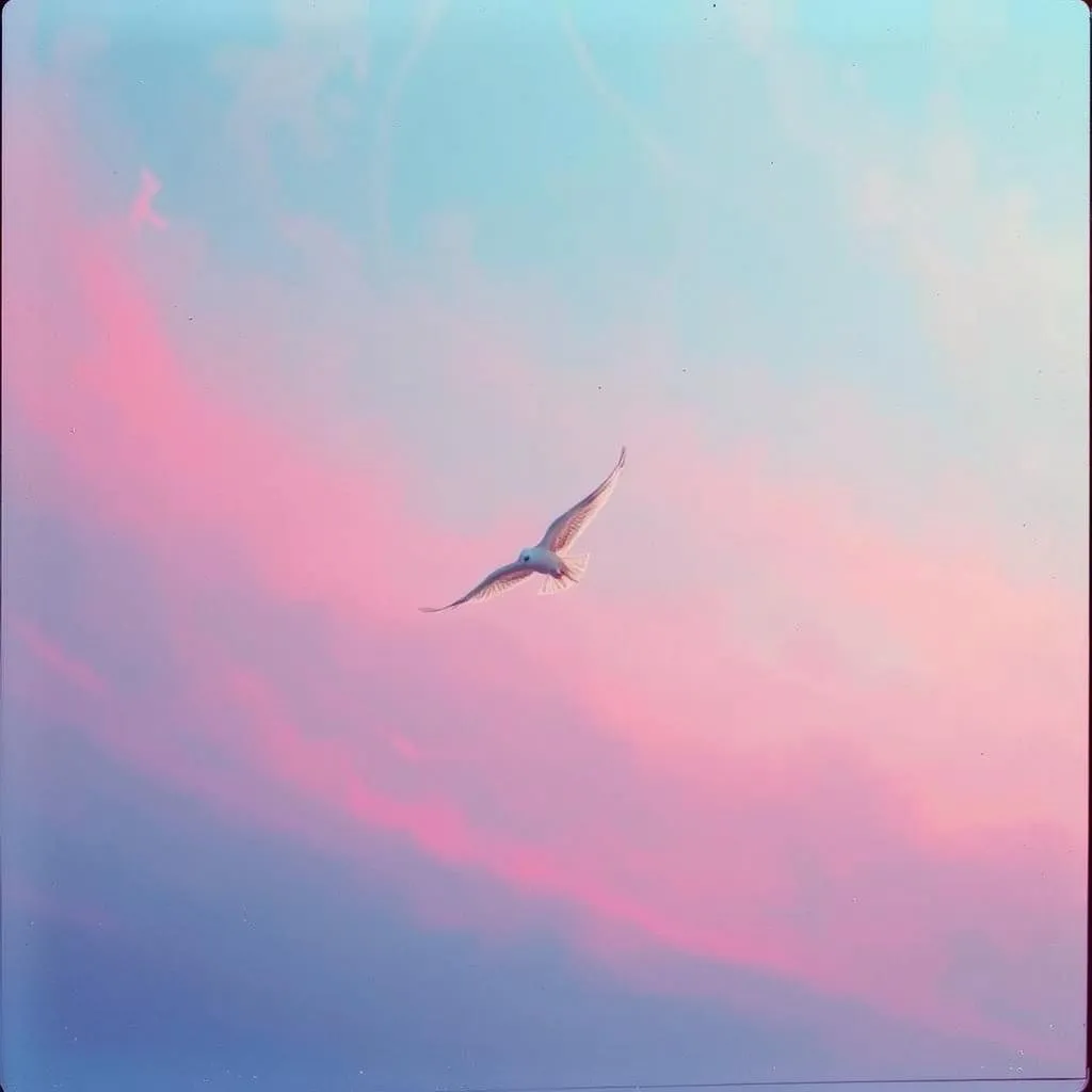 Liberation