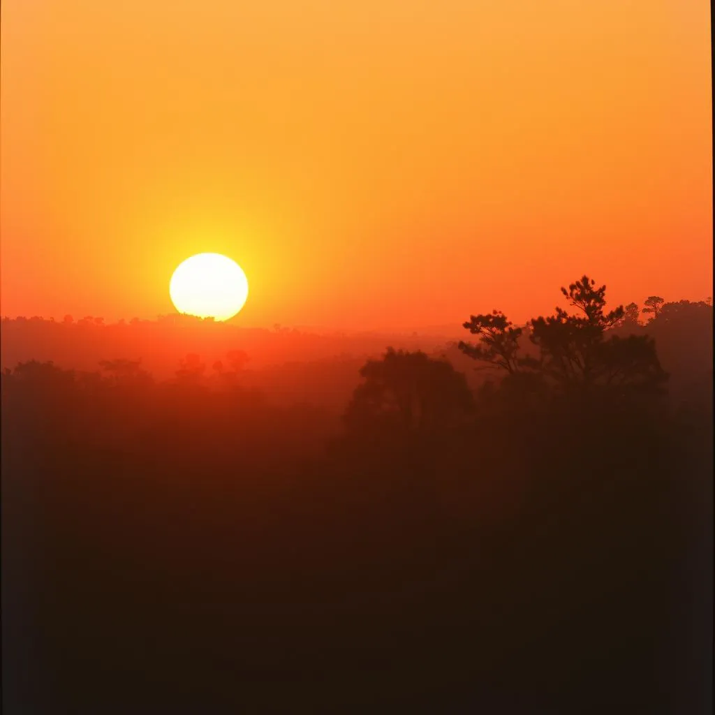 Another Sunrise