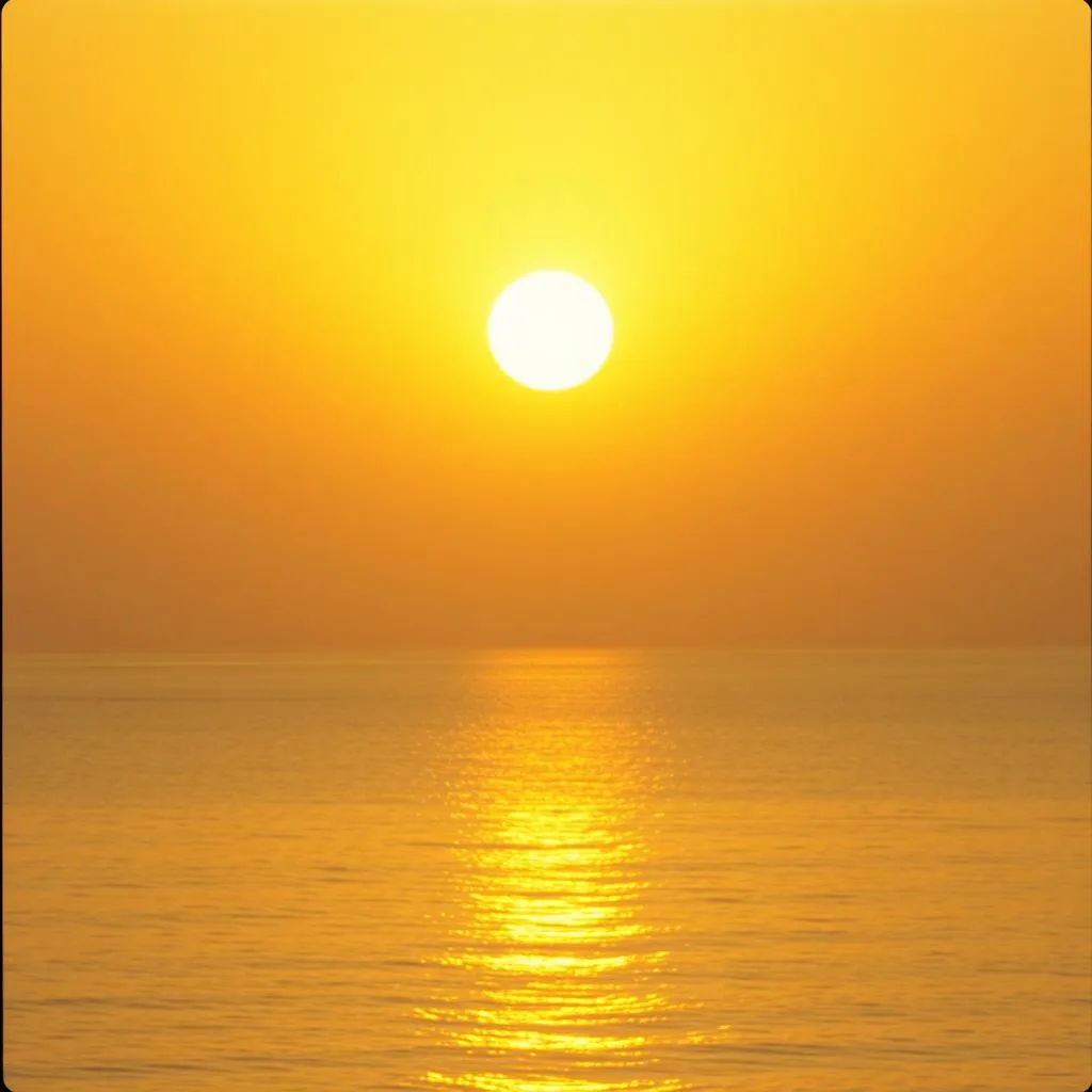 Meine Sonne