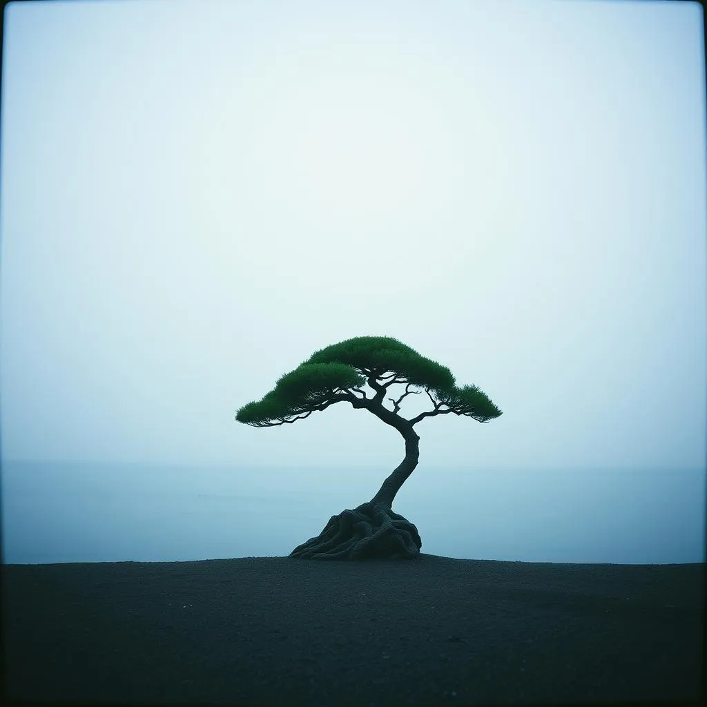 影の中で (In the Shadows)
