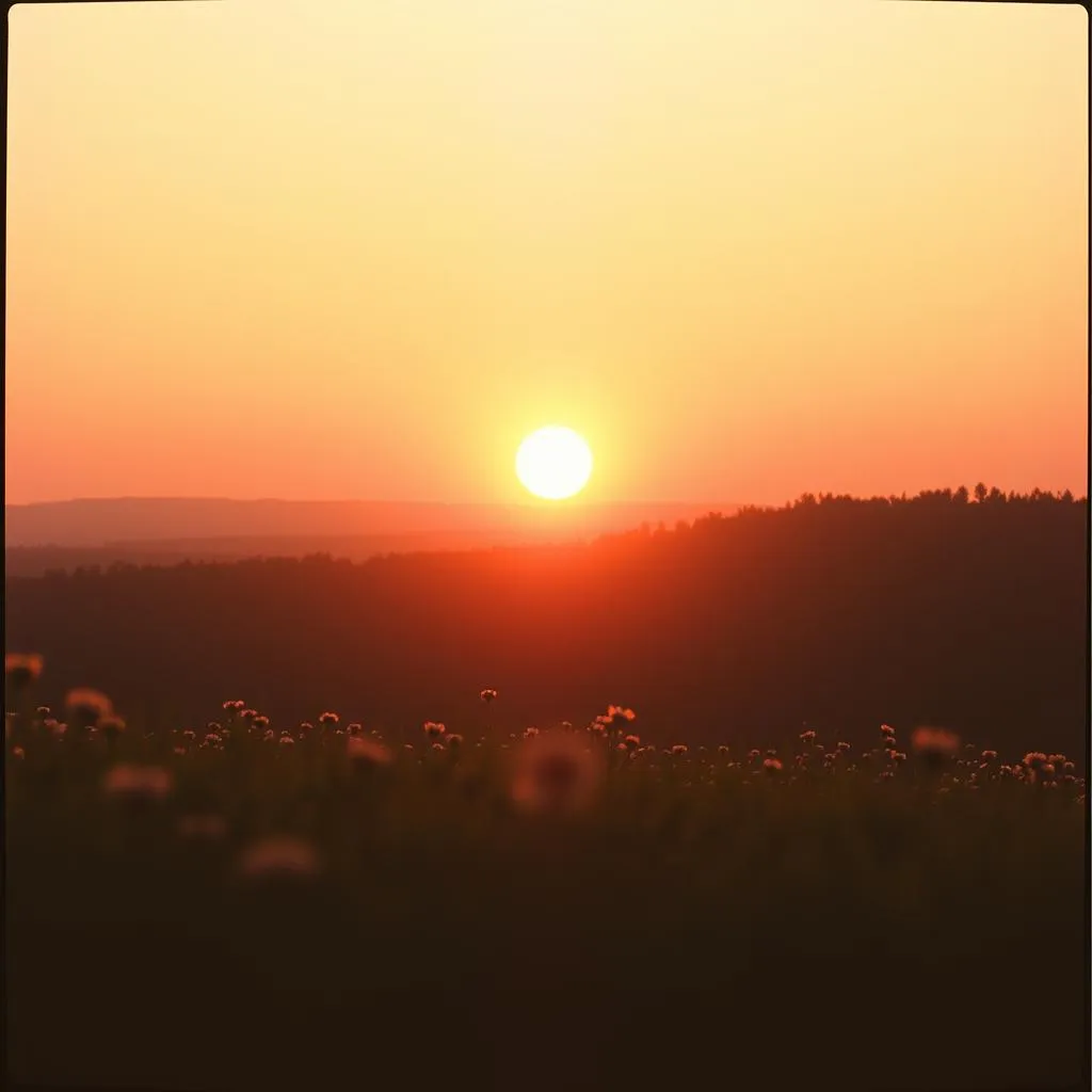 A New Dawn