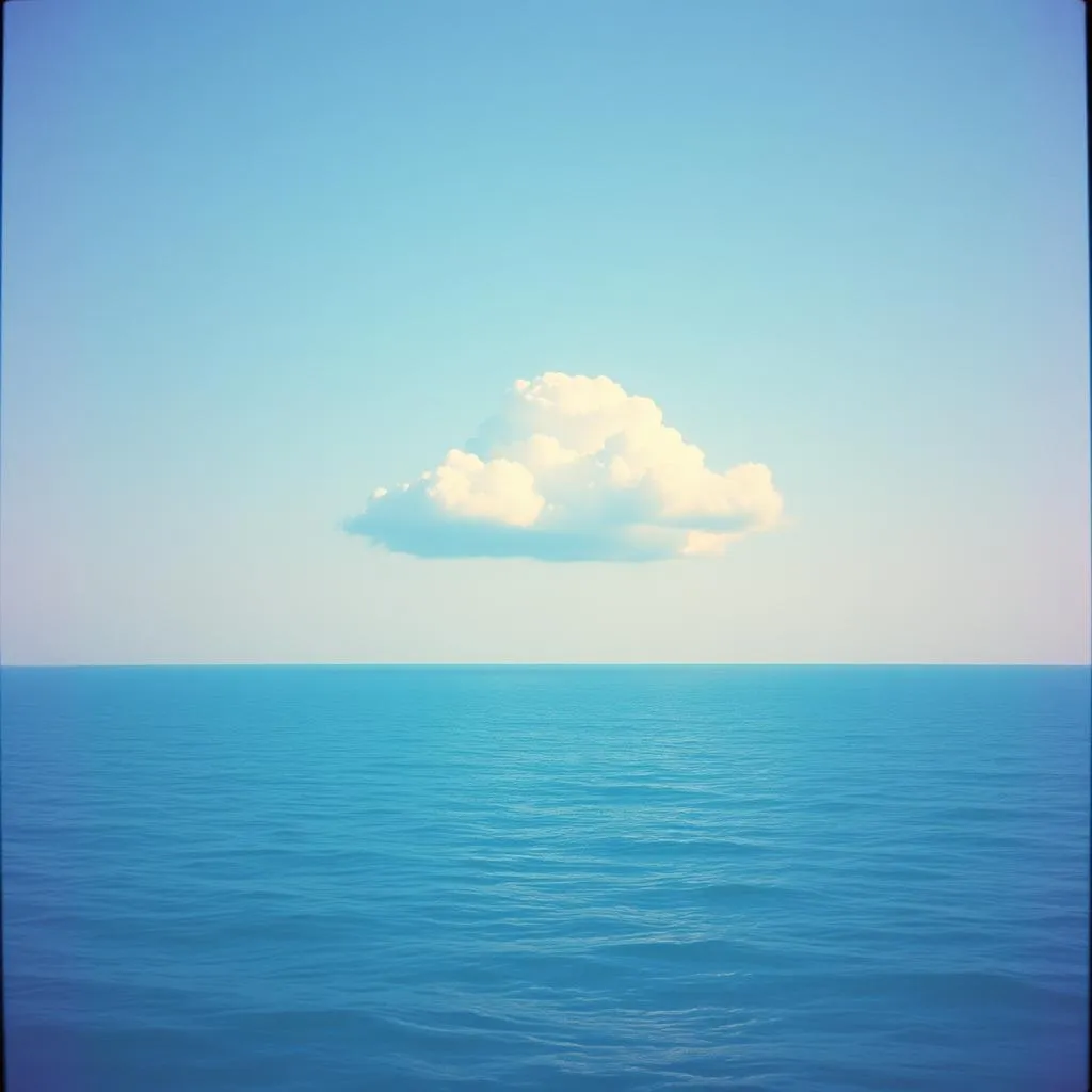 真愛泛流