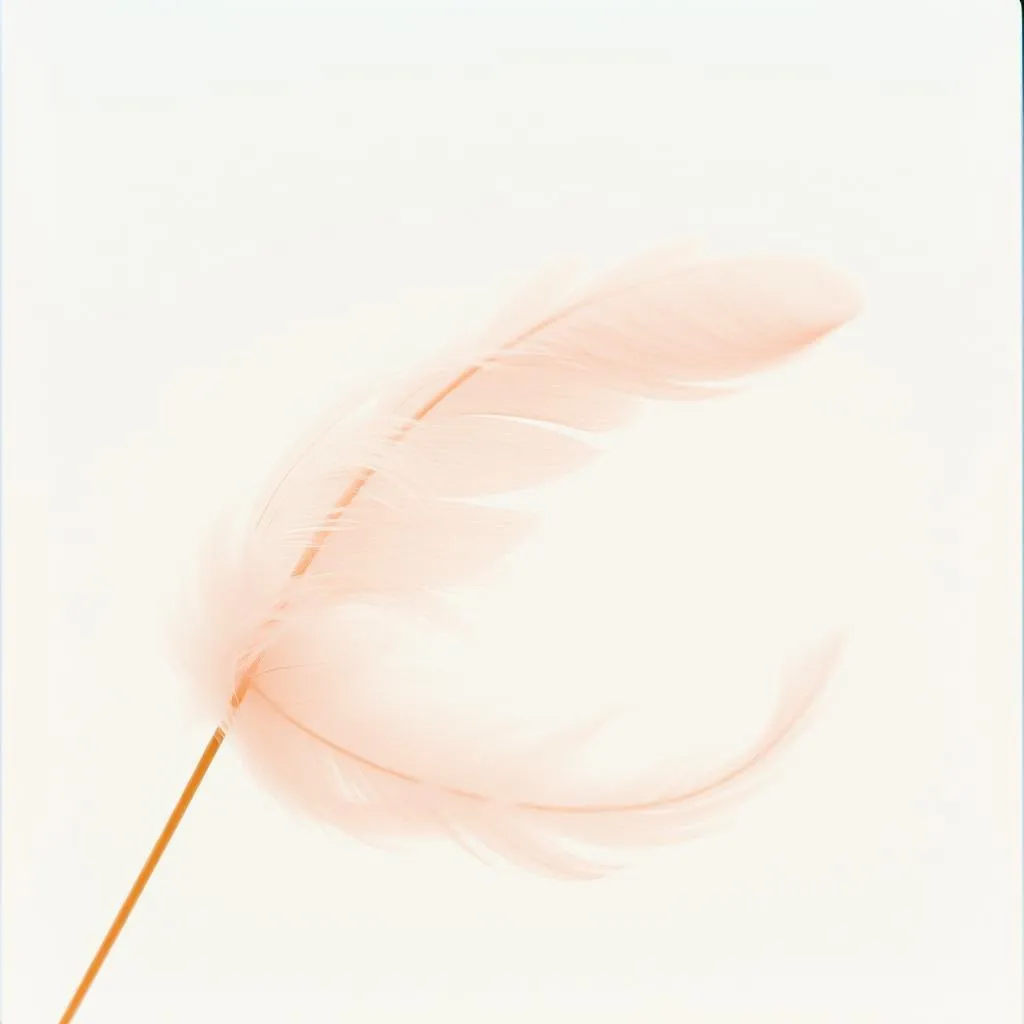 AIR