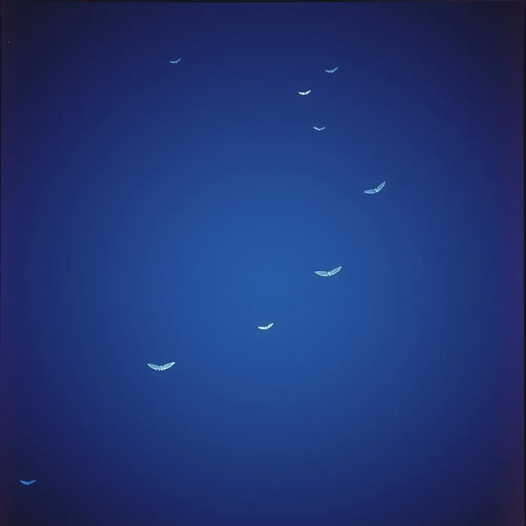 Hjssh